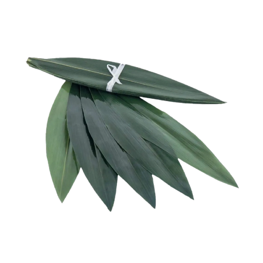 Листя бамбуку 100 шт